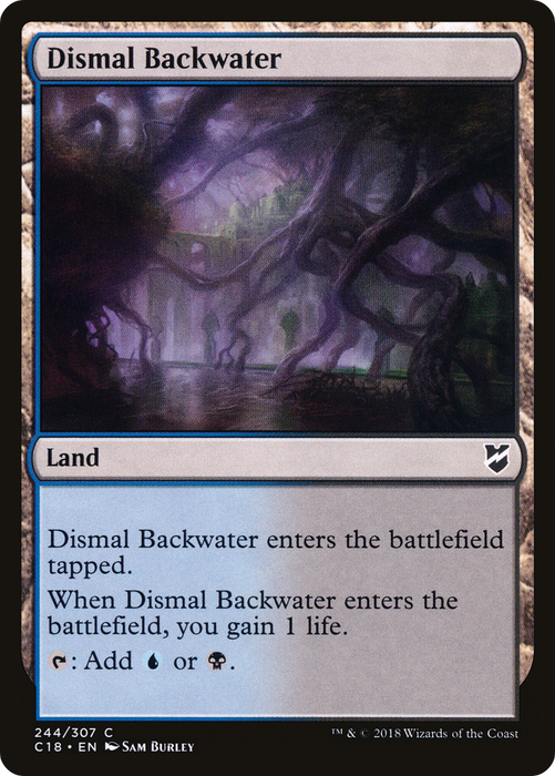Dismal Backwater (C18-244) - common