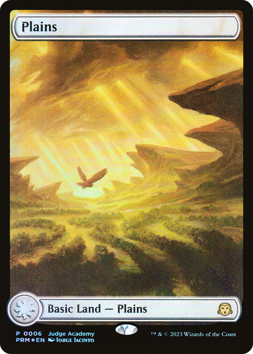 Plains (JDG-006) - rare: (Full Art) - Foil
