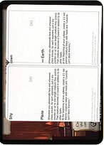 Shy Town (UNK-PLA007) - common
