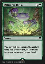 A-Druidic Ritual (HBG-A-208) - common