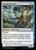 Seedpod Squire (BLB-232) - common