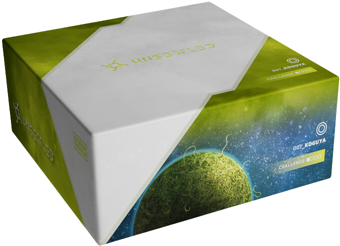 Unsetttled: Koguya (English)