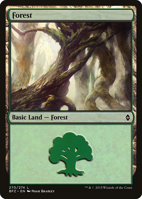 Forest (BFZ-270A) - common