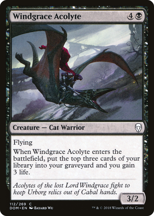 Windgrace Acolyte (DOM-112) - common - Foil
