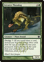 Greater Mossdog (MMA-146) - common