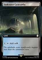 Darkwater Catacombs (PIP-1020) - rare: (Extended Art) - Foil