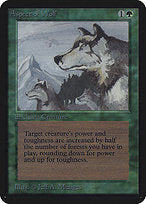 Aspect of Wolf (LEA-184) - rare