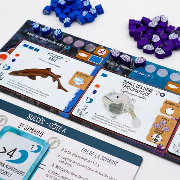 Finspan: Requins et Récifs (français)