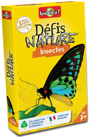 Défis Nature: Insectes (French)