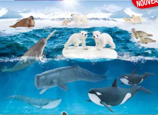 Dans l’Arctic (60 pièces)