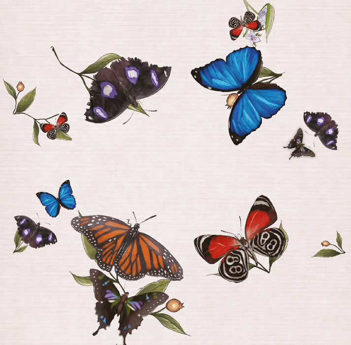 Papillons Célestes (français)