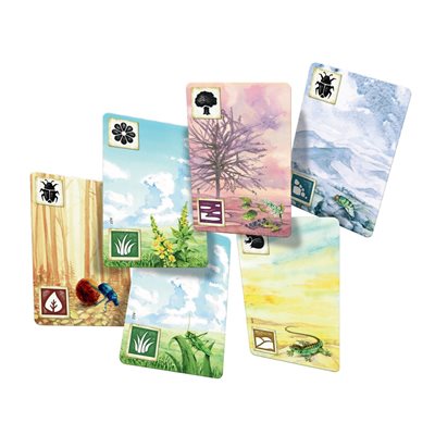 Meadow (Multilingual)