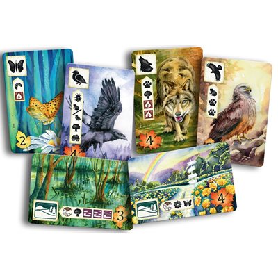 Meadow (Multilingual)