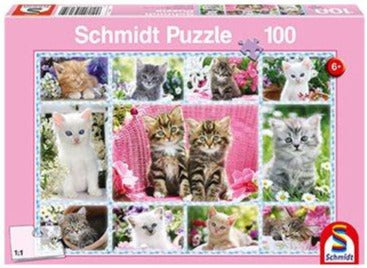 Kittens (100 pièces)