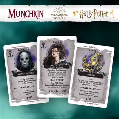 Munchkin: Harry Potter (English)