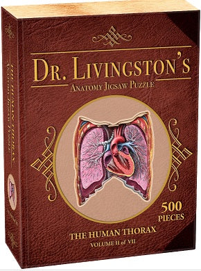 Dr. Livingston's Anatomy: Human Thorax (500 piece)