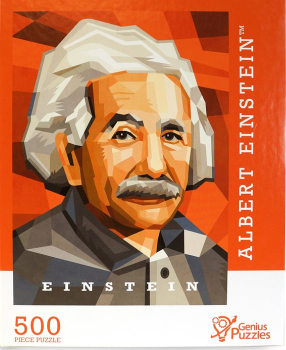 Albert Einstein (500 piece)