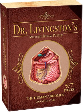 Dr. Livingston's Anatomy: Human Abdomen (577 piece)