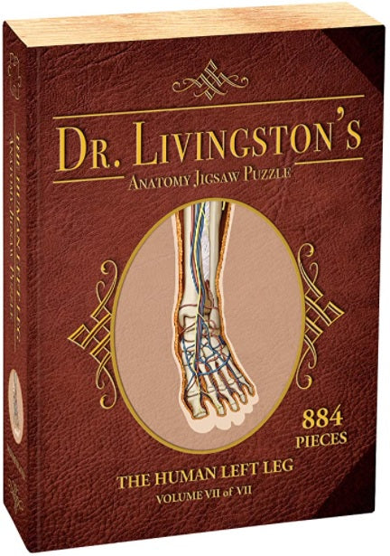 Dr. Livingston's Anatomy: Human Left Leg (884 piece)
