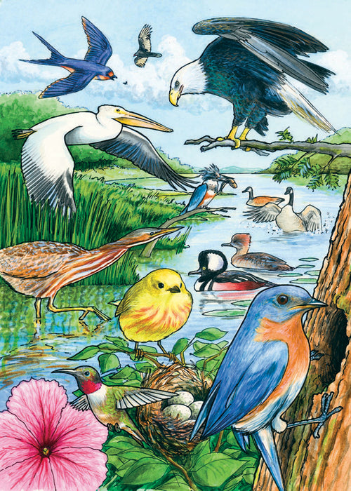 Oiseaux Nord-Américains: Casse-tête de Plateau (35 pièces)