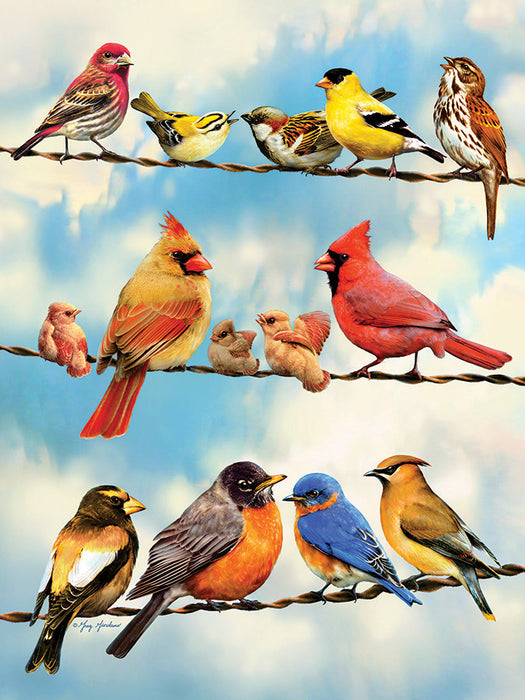 Birds in the blue sky: tray puzzle (35 piece)