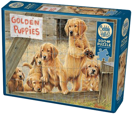 Goldens puppies (500 piece)
